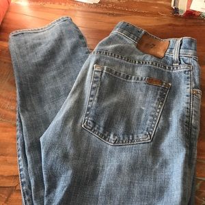 7 for all mankind 31